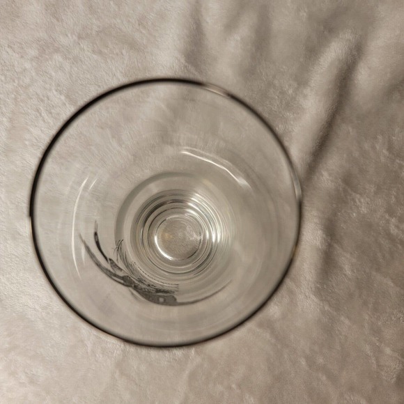 Vintage Mid Century Highball Canvasback Silver Rim Glass - Picture 2 of 2